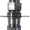 Ốc siết cáp CMP 20S TE1FU M20 (1)